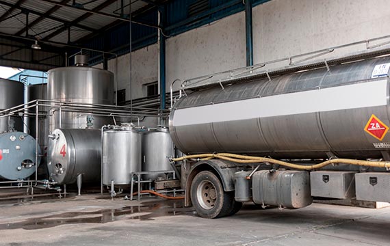 Llenado de los tanques de leche de oveja