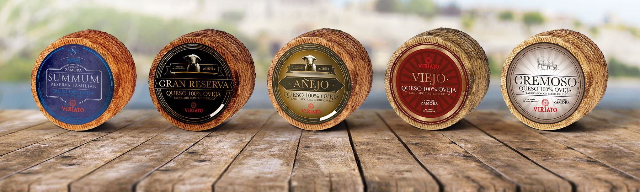 salon gourmet y quesos viriatog